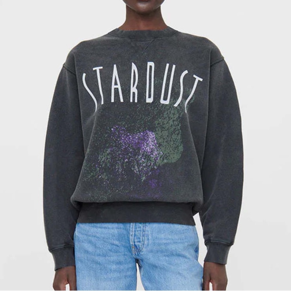 Anine Bing Stardust Sweatshirt - Small